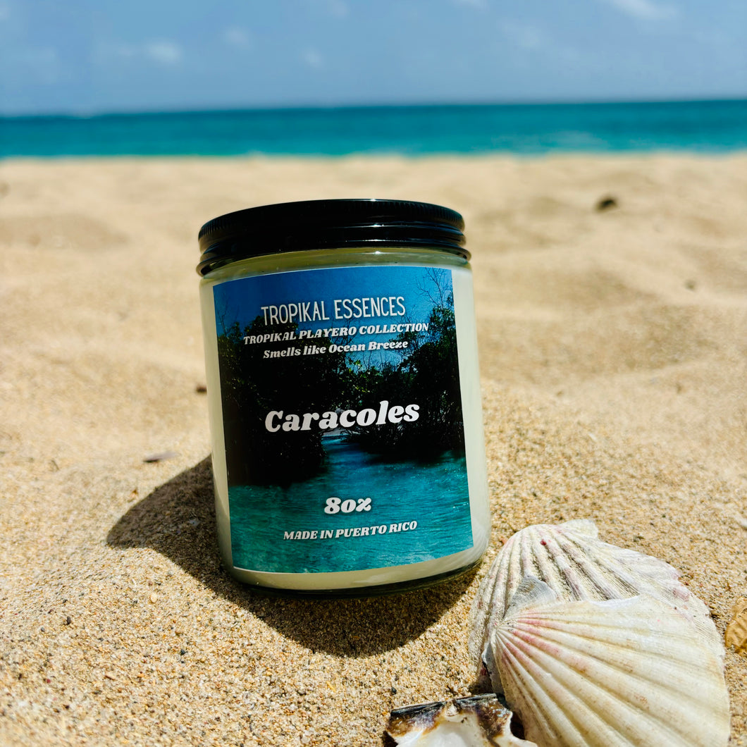 Caracoles Candle (Ocean Breeze)